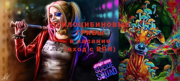 PSILOCYBIN Армянск