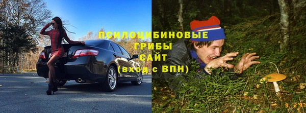 эйфоретик Мегион