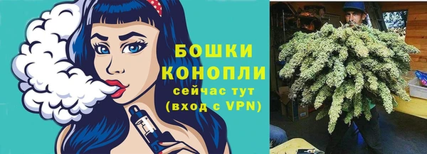 PSILOCYBIN Армянск