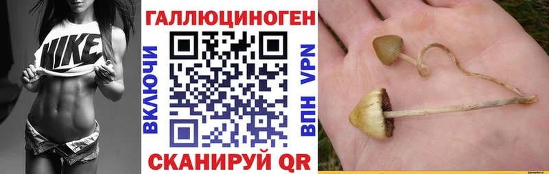 Галлюциногенные грибы мицелий  Купить закладки  Балашов 